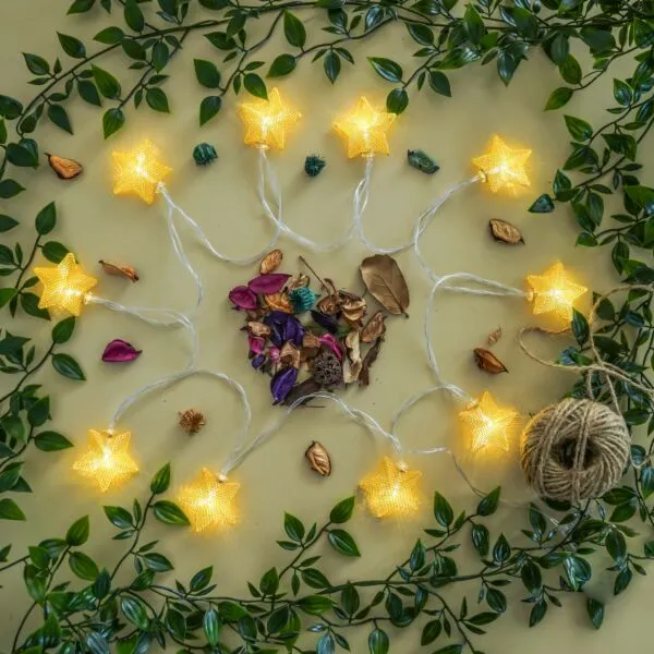 baytonia_gallery_image