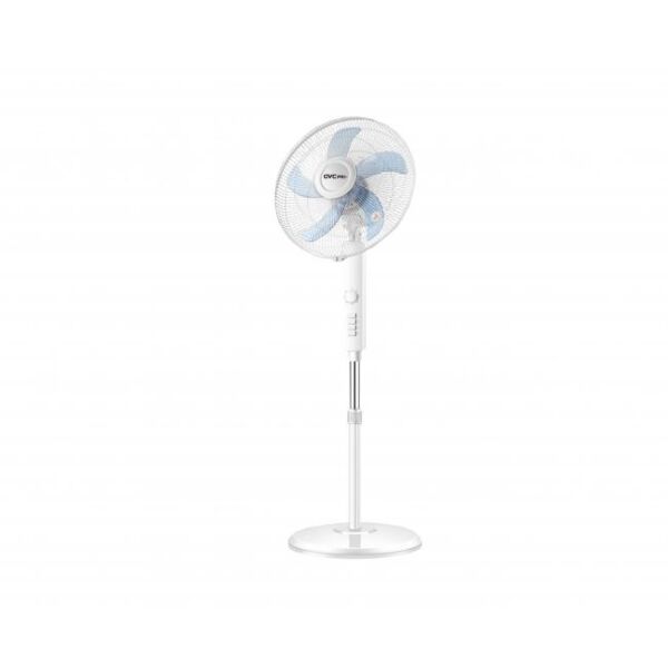 baytonia_main product photo