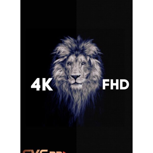 baytonia_gallery_image