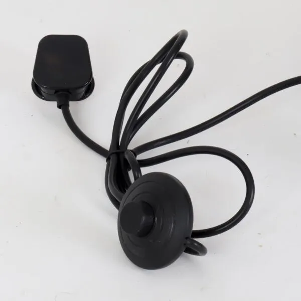 baytonia_gallery_image