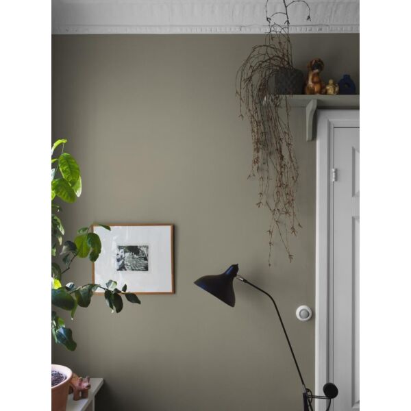 baytonia_main product photo