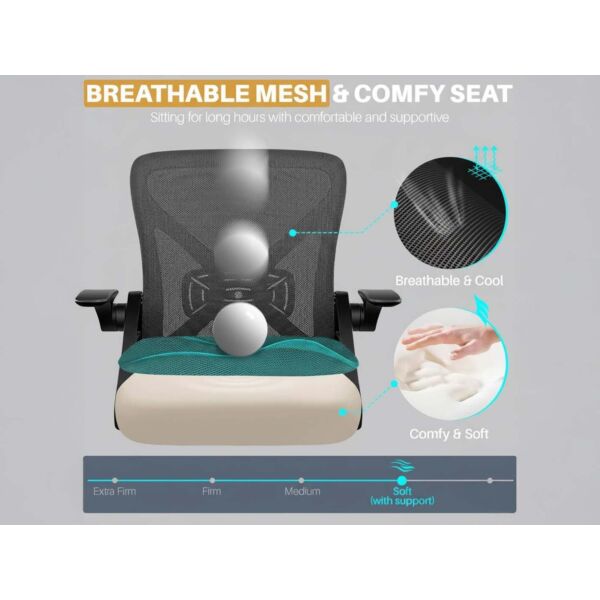 baytonia_gallery_image