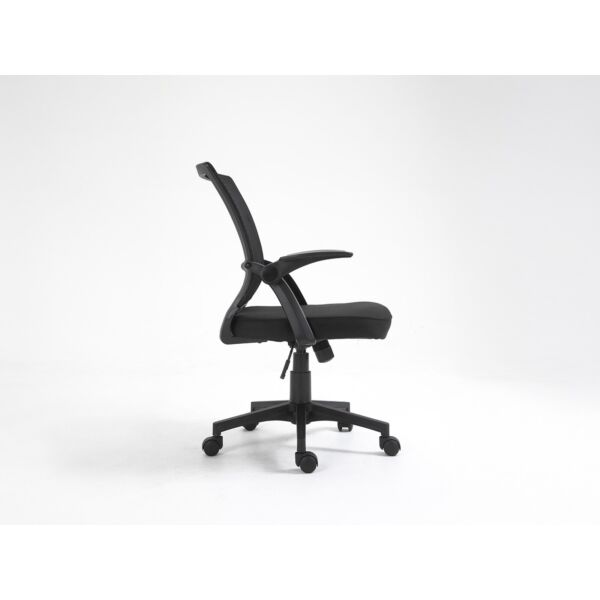 baytonia_gallery_image