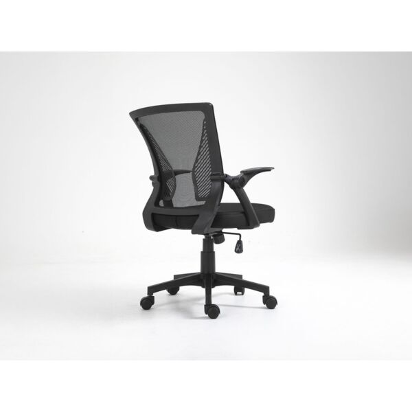 baytonia_gallery_image