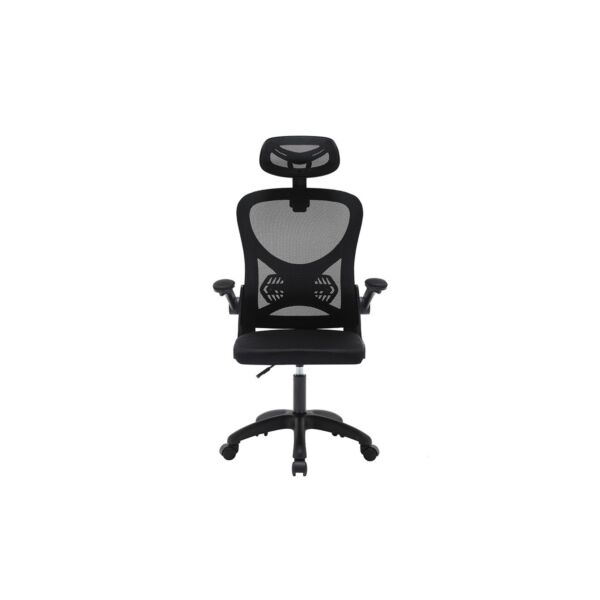 baytonia_gallery_image