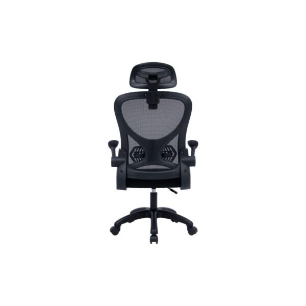 baytonia_gallery_image