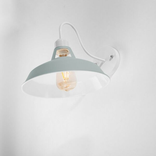 baytonia_main product photo