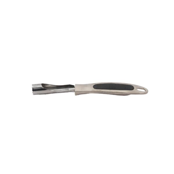 baytonia_main product photo