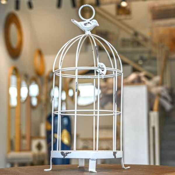 baytonia_gallery_image