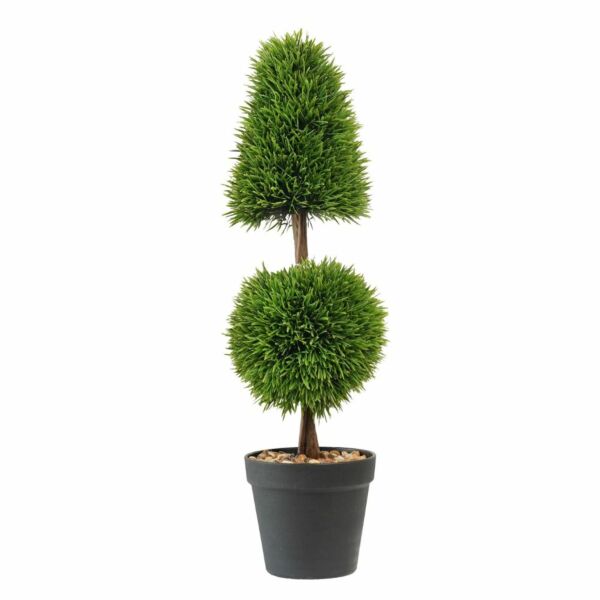 baytonia_main product photo