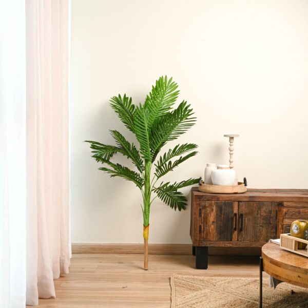 baytonia_main product photo