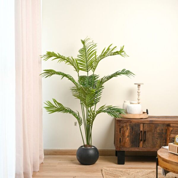 baytonia_main product photo