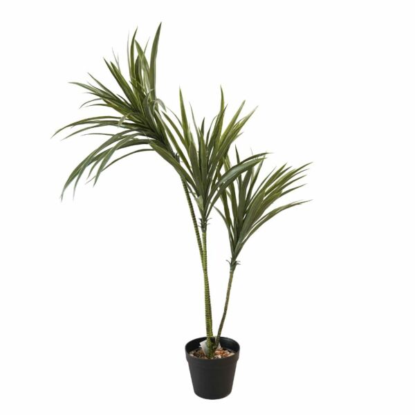 baytonia_main product photo