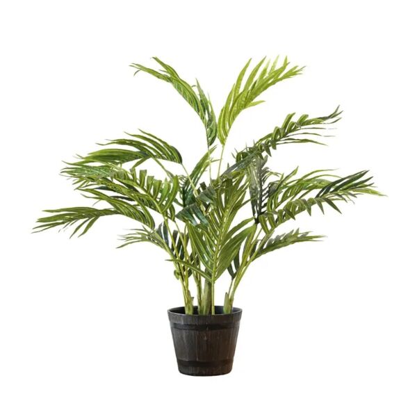 baytonia_gallery_image