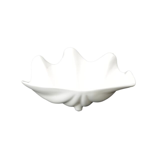 baytonia_main product photo