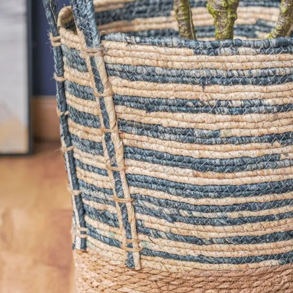 baytonia_gallery_image