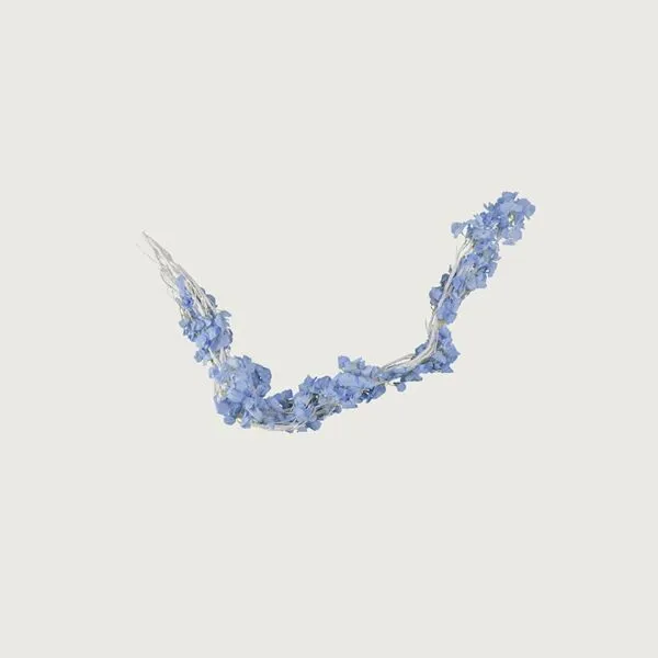 baytonia_gallery_image