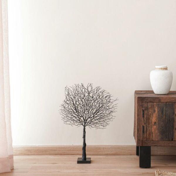 baytonia_main product photo