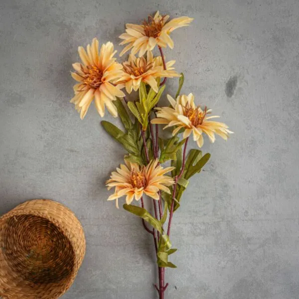 baytonia_gallery_image