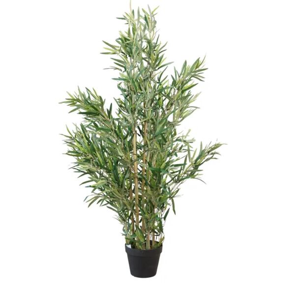 baytonia_main product photo