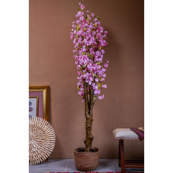 baytonia_gallery_image