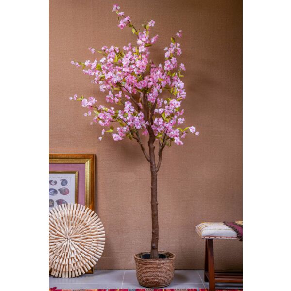 baytonia_gallery_image