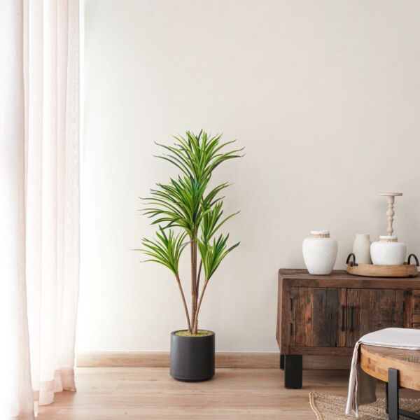 baytonia_main product photo