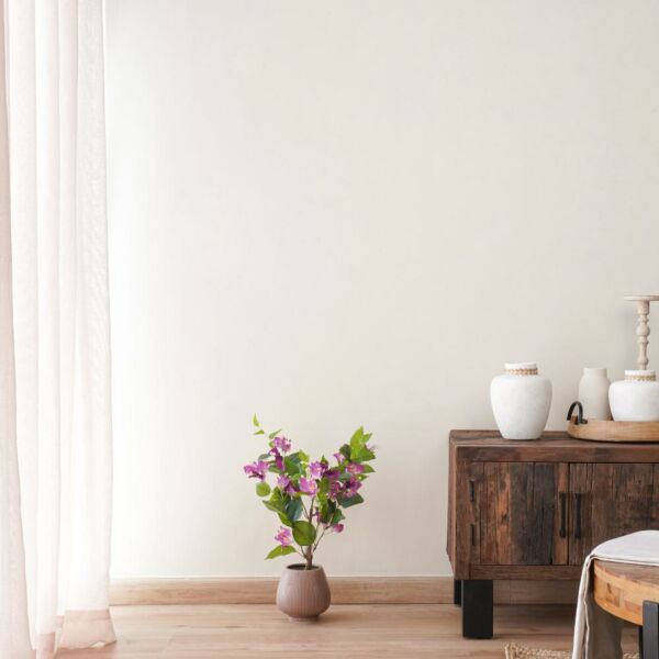 baytonia_main product photo