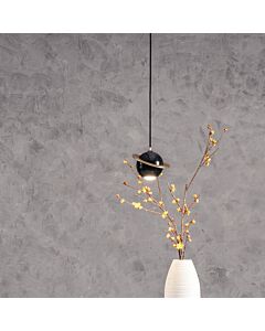 Modern Black Yanussi Pendant Light