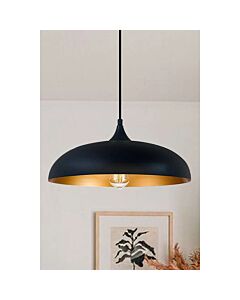 2M Black with Gold Alpha E27X1L Pendant Light