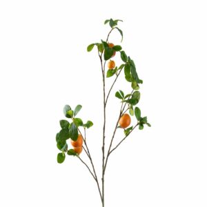 نبات صناعى اورانج