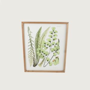 لوحة نباتات ببرواز خشبي بورسل