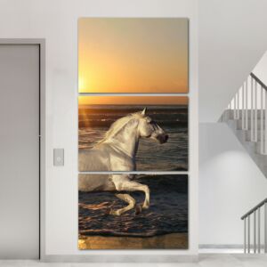لوحة فنية بيكاش ثلاث قطع بتصميم الطبيعة - حصان