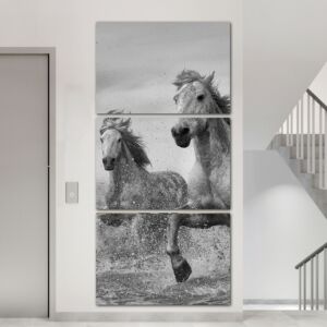 لوحة فنية عامفرا ثلاث قطع بتصميم الطبيعة - حصان