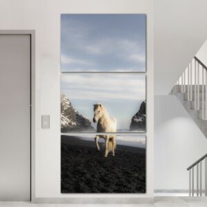 لوحة فنية فانستا ثلاث قطع بتصميم الطبيعة - حصان