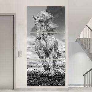 لوحة فنية فيرات ثلاث قطع بتصميم الطبيعة - حصان