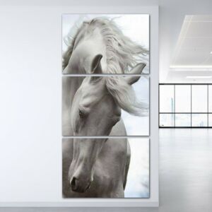 لوحة فنية فرمين ثلاث قطع بتصميم الطبيعة - حصان