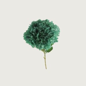فرع زهرة هيدرنجا - اخضر