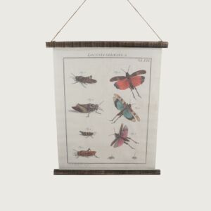 لوحة صور فينيتا قماشية تعليق-متعدد الالوان