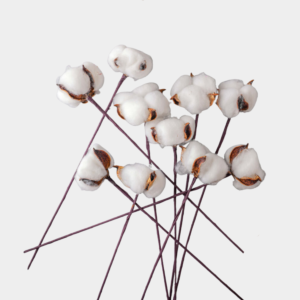 زهر صناعي كوتون بول - أبيض - 12 قطعة