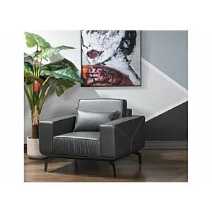 كنبة مكتبية 1 مقعد بانترى