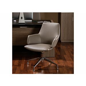 كرسي مكتب دينامو