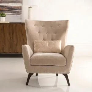 كرسي استقبال ريجناردي