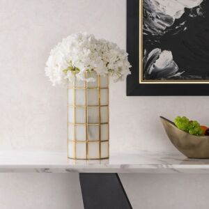 فازة بينيشيو