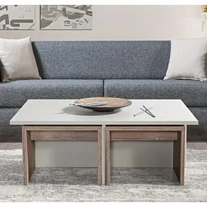 طاولة قهوة تشيست إلم كوف مع 4 طاولات جانبية - رمادي فاتح ورمادي خشبي