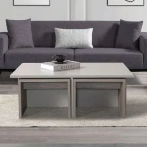 طاولة قهوة تشيست إلم كوف مع 4 طاولات جانبية - بيج فاتح