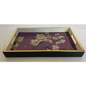 صينية تقديم دير مستطيل زجاج بإطار بلاستيك متعدد الالوان