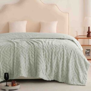 بطانية مزدوج مونتريال خفيفة فرو 240x220 سم - تيفاني