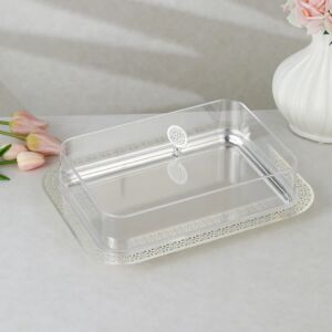 طبق تقديم مستطيل ايلا - فضي