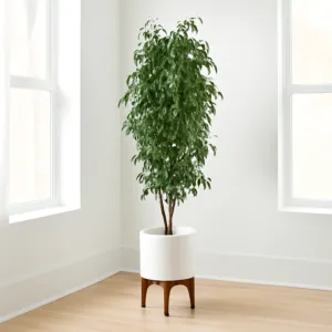 شجرة بانيان صناعية 180 سم - اخضر